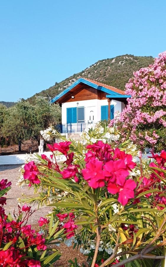 Villas Kiriaki Kallirakhi Экстерьер фото
